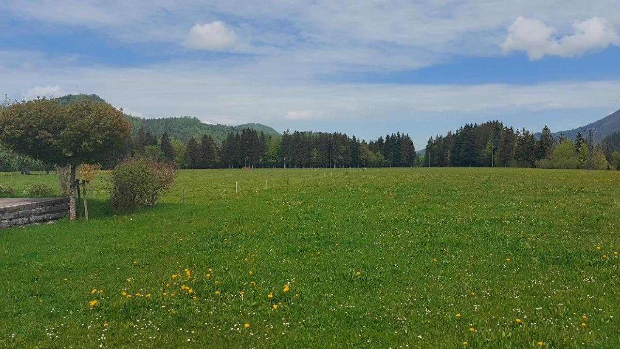 Ferienwohnung Seeberg mit Almfeeling Faistenau Exterior foto